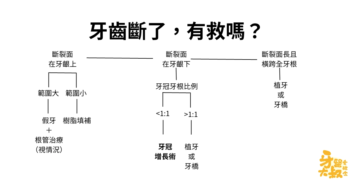 醫師,我牙齒斷了,有救嗎?斷牙怎麼辦 醫師,我牙齒斷了,有救嗎?斷牙怎麼辦